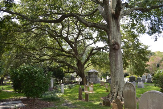 Photo courtesy of Chris Rylands.