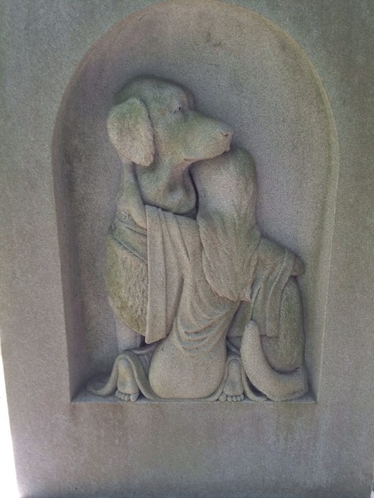 A little girl and her beloved canine companion.