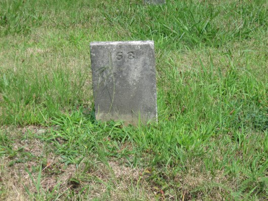 Grave #153 contains the remains of Levi Martin Mercer, a relative of mine who died in 1888 at the Athens Lunatic Asylum in Ohio.