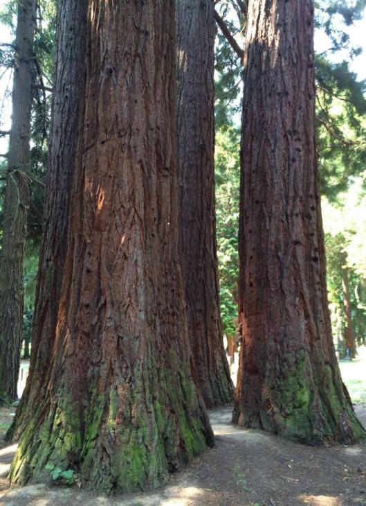 Did you spot the squirrel on the side of the one on the far right?