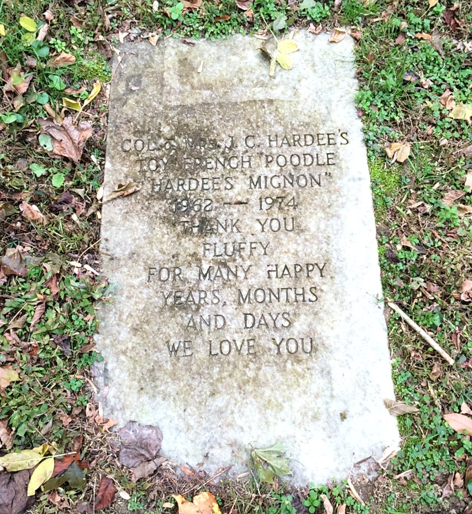 A Walk Through Atlanta’s Pet Heaven Memorial Park Adventures in Cemetery Hopping