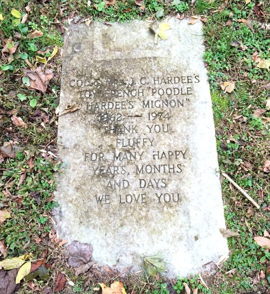 Fluffy did not have a long life but she was loved by her owners.