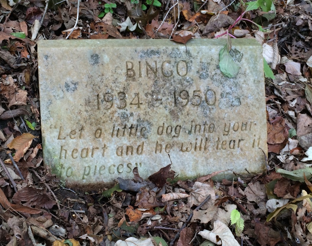 A Walk Through Atlanta’s Pet Heaven Memorial Park Adventures in Cemetery Hopping