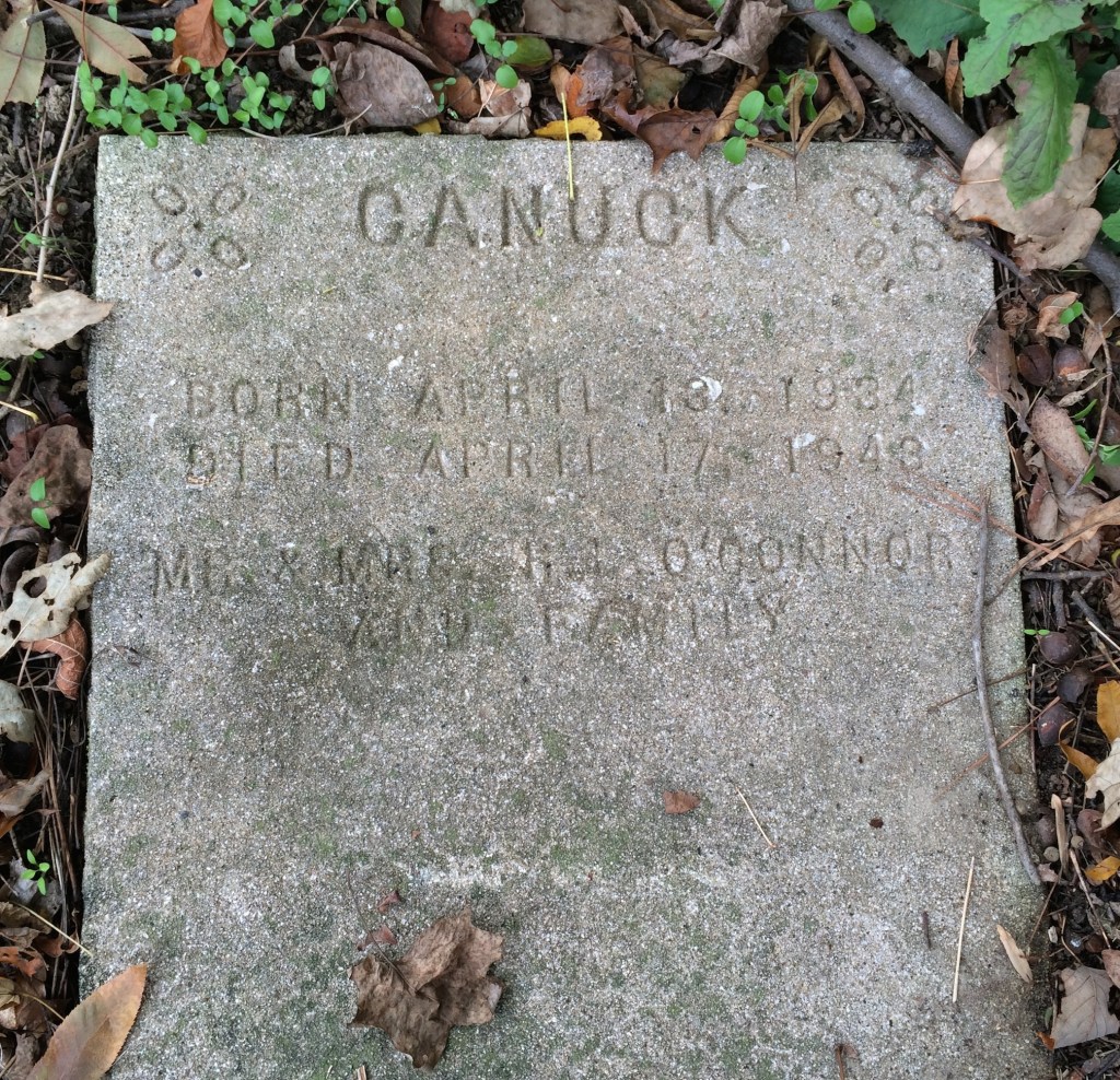 A Walk Through Atlanta’s Pet Heaven Memorial Park Adventures in Cemetery Hopping