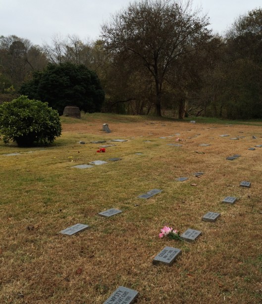 The difference between the older and newer sections is quite dramatic.