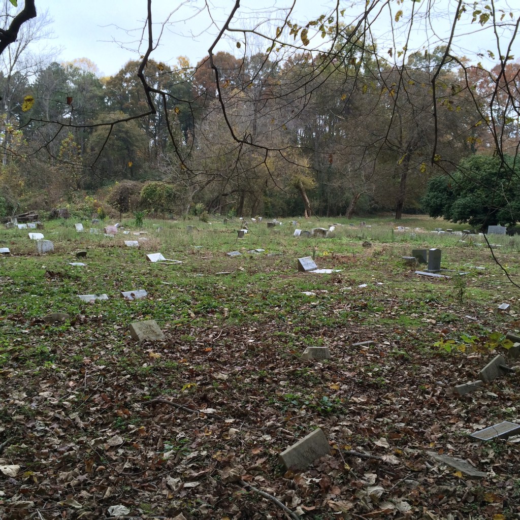 A Walk Through Atlanta’s Pet Heaven Memorial Park Adventures in