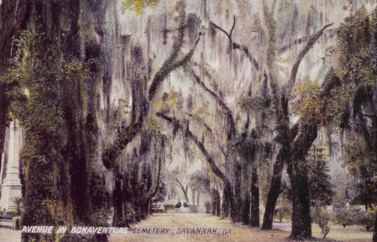 Naturalist John Muir, who spent six days at Bonaventure (including sleeping on the graves), once remarked that Bonaventure "contained one of the most impressive assemblages of animal and plant life I have ever seen." This is an undated postcard.