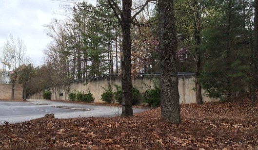 The Martin Cemetery is in the woods behind that guard rail. I took the picture from the parking lot of an abandoned office building. I wouldn't recommend climbing around the side like I did.