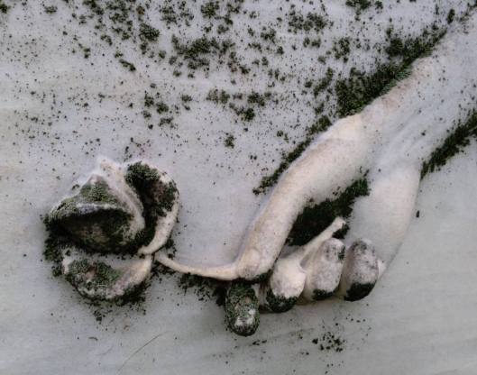The stark contrast of the dark green moss against the white marble brings K 