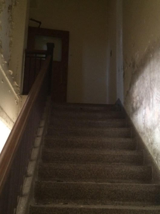 I don't know who or what made that awful sound but I didn't linger to find out.